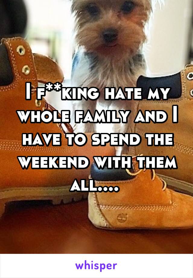 I f**king hate my whole family and I have to spend the weekend with them all.... 