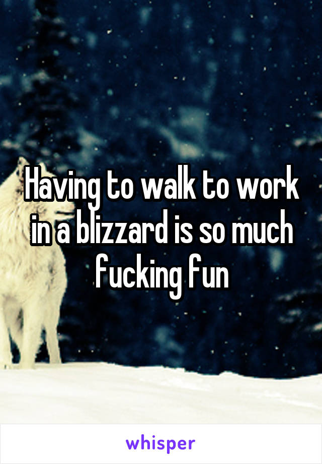 Having to walk to work in a blizzard is so much fucking fun