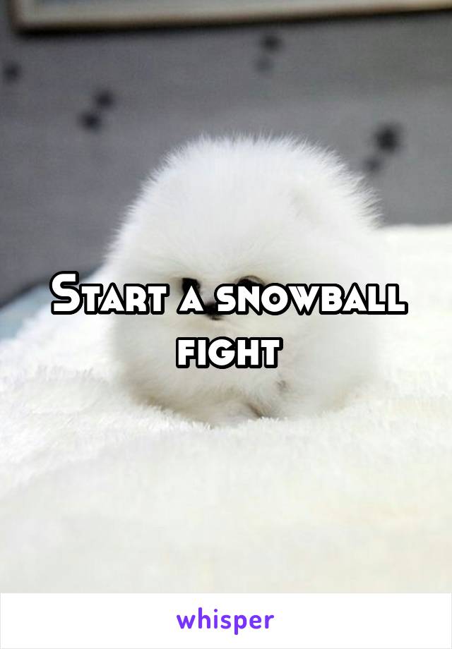 Start a snowball fight