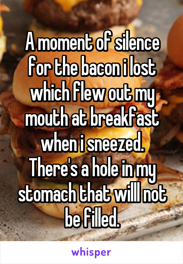 A moment of silence for the bacon i lost which flew out my mouth at breakfast when i sneezed.
There's a hole in my stomach that willl not be filled.