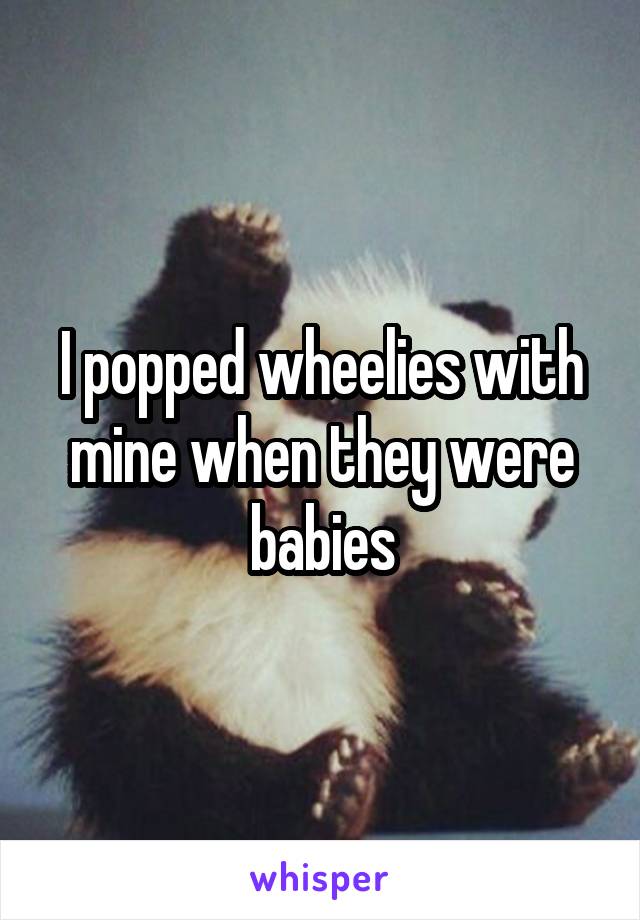 I popped wheelies with mine when they were babies