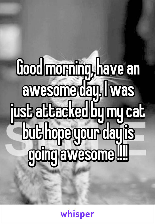 Good morning, have an awesome day. I was just attacked by my cat but hope your day is going awesome !!!!