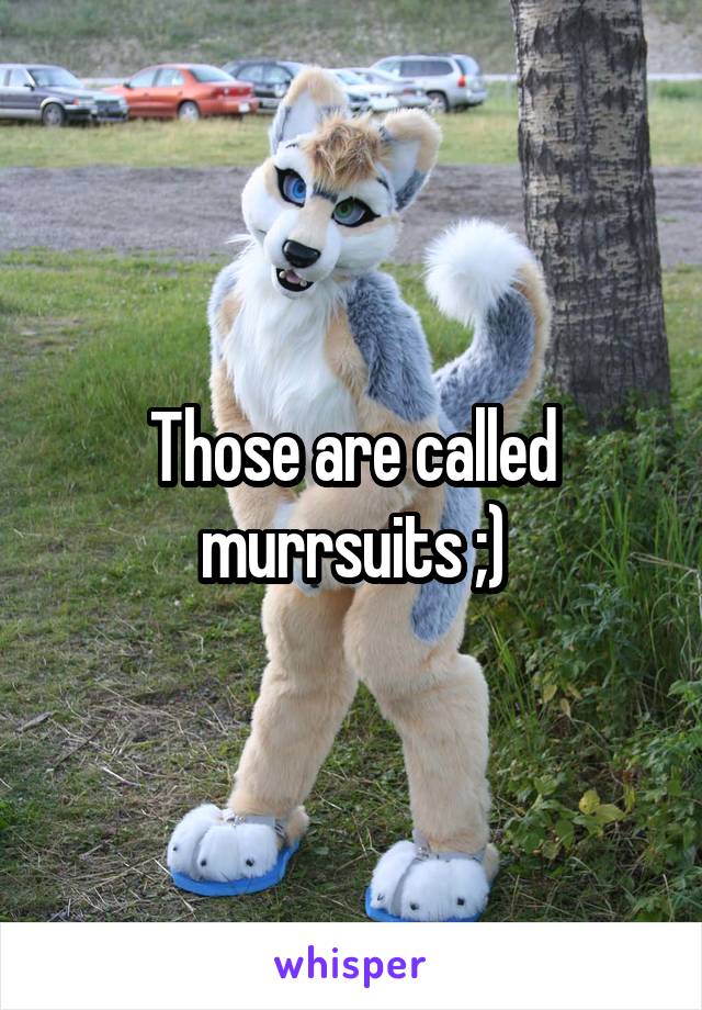 Those are called murrsuits ;)