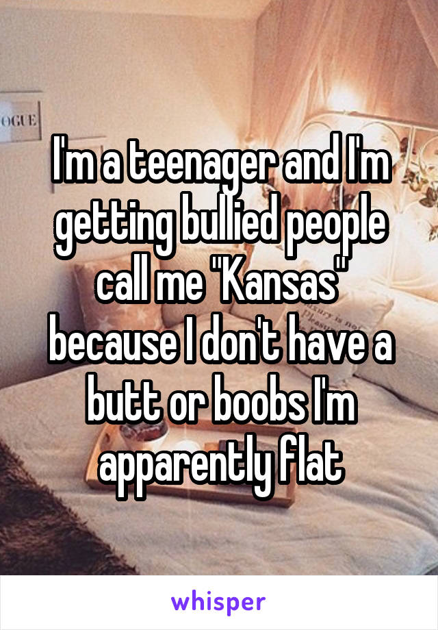 I'm a teenager and I'm getting bullied people call me "Kansas" because I don't have a butt or boobs I'm apparently flat