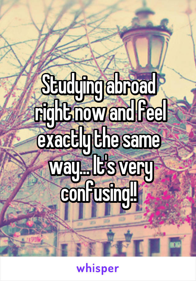 Studying abroad
 right now and feel exactly the same
 way... It's very confusing!!