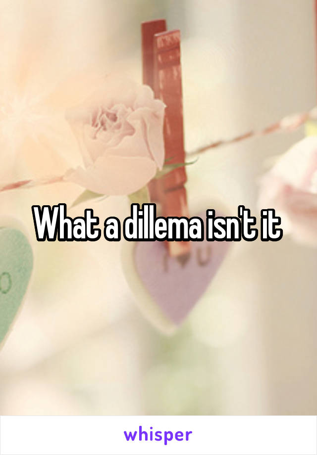 What a dillema isn't it 