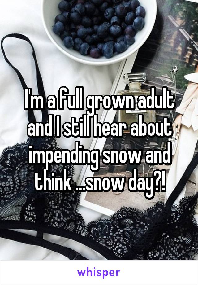 I'm a full grown adult and I still hear about impending snow and think ...snow day?!