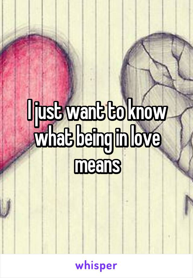 I just want to know what being in love means