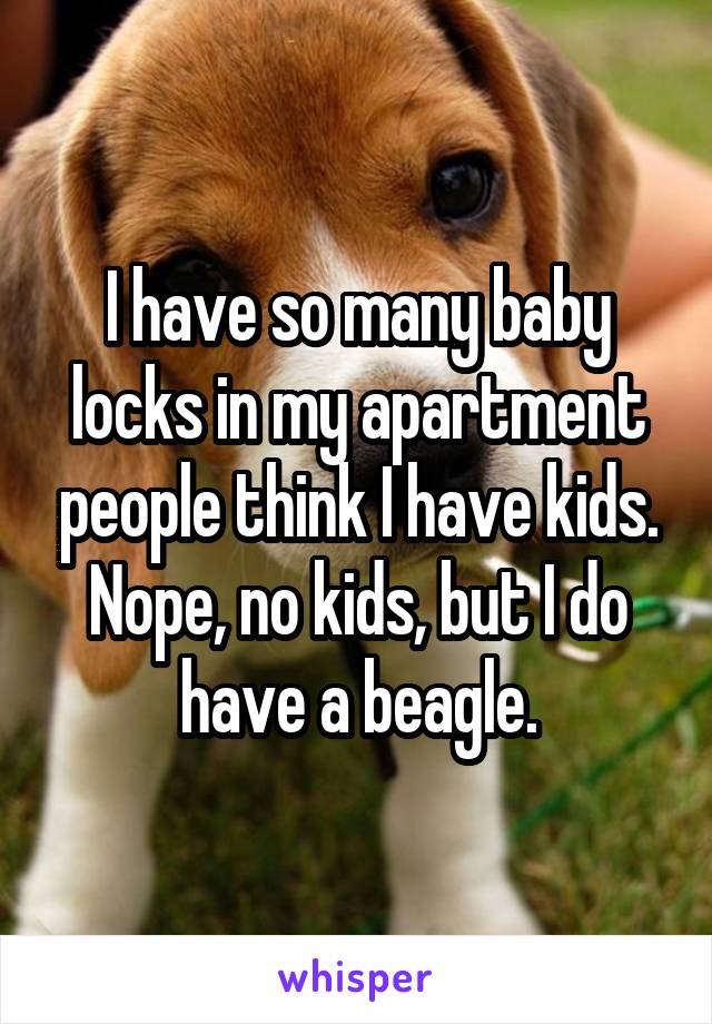I have so many baby locks in my apartment people think I have kids. Nope, no kids, but I do have a beagle.