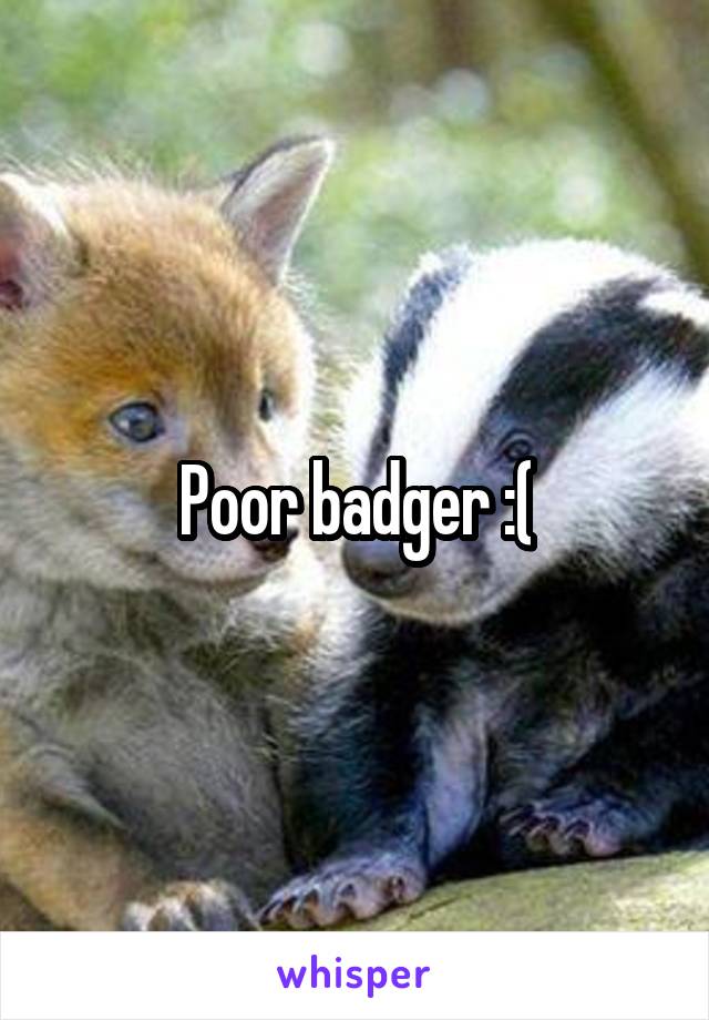 Poor badger :(