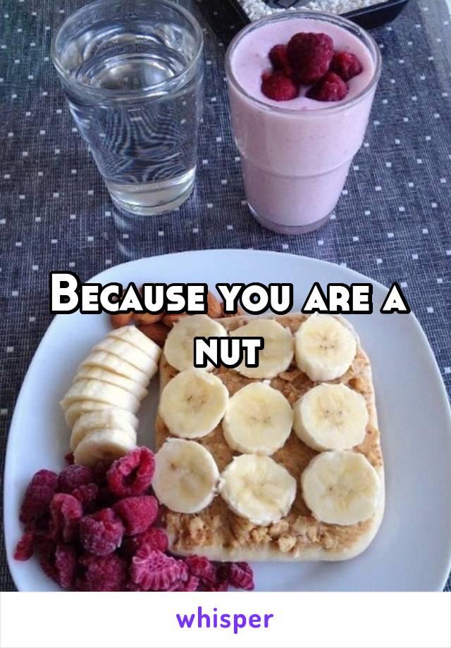 Because you are a nut