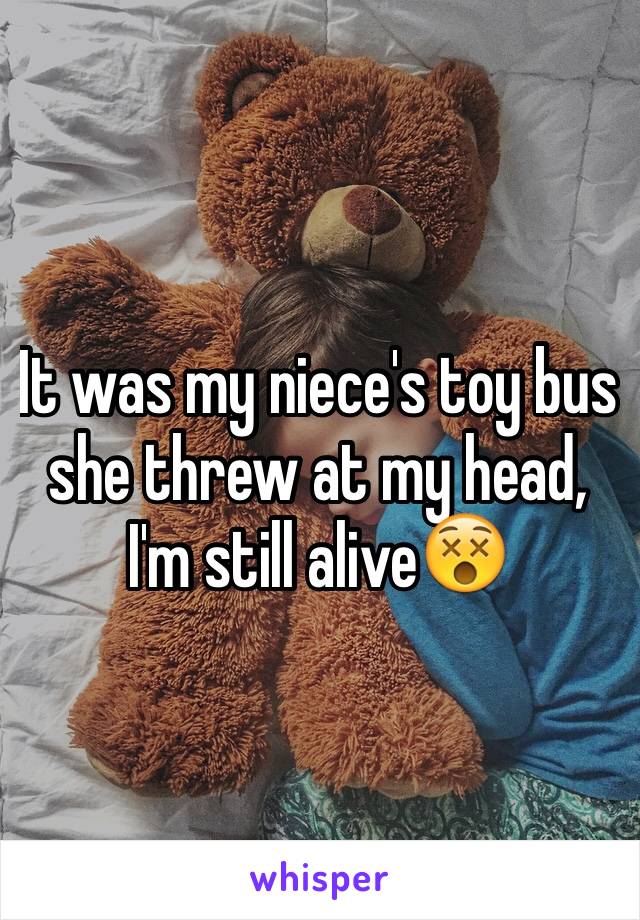 It was my niece's toy bus she threw at my head, I'm still alive😵