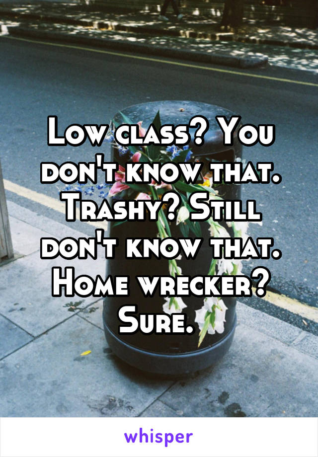 Low class? You don't know that. Trashy? Still don't know that. Home wrecker? Sure. 