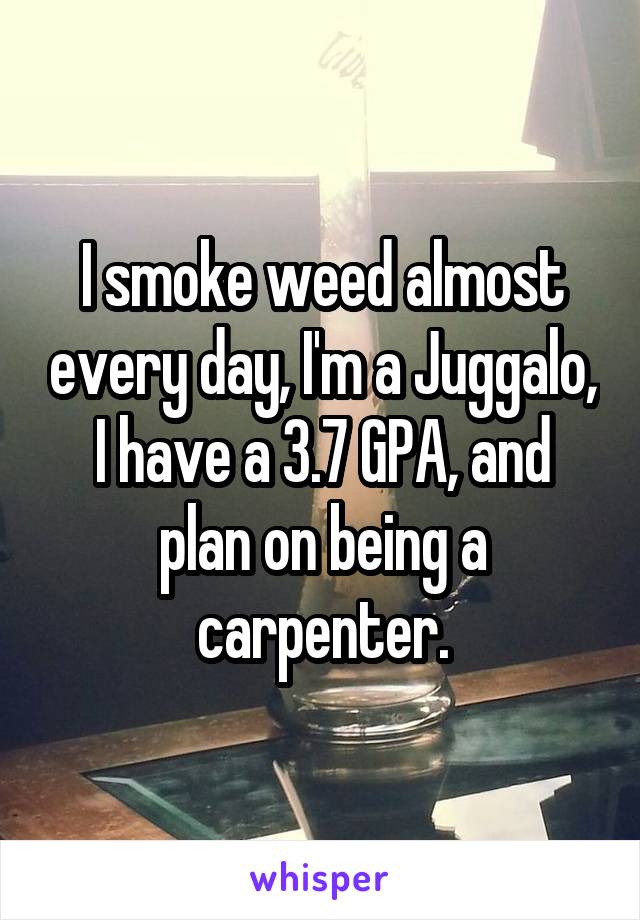 I smoke weed almost every day, I'm a Juggalo, I have a 3.7 GPA, and plan on being a carpenter.
