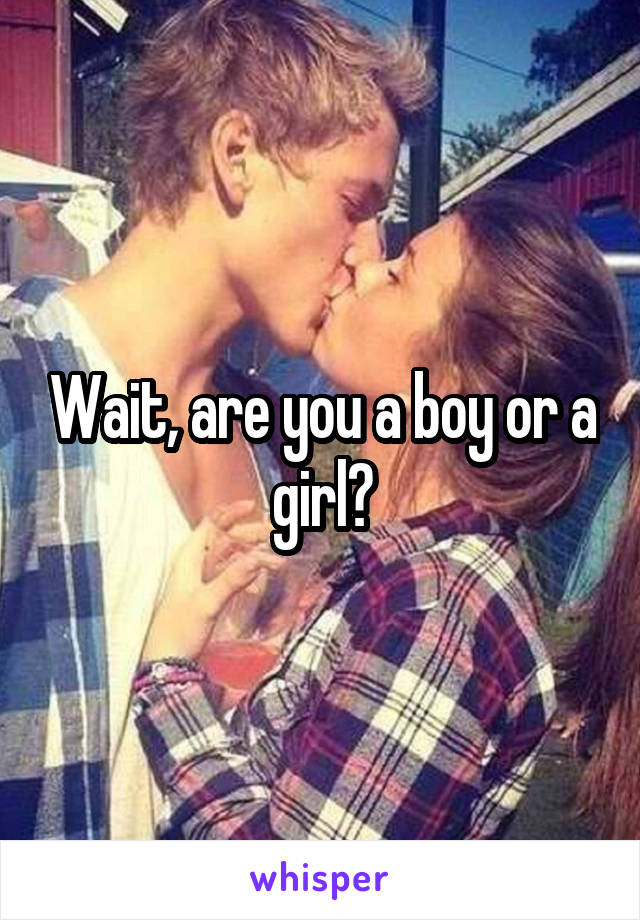 Wait, are you a boy or a girl?