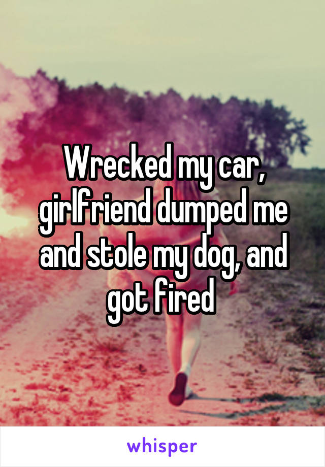 Wrecked my car, girlfriend dumped me and stole my dog, and got fired 