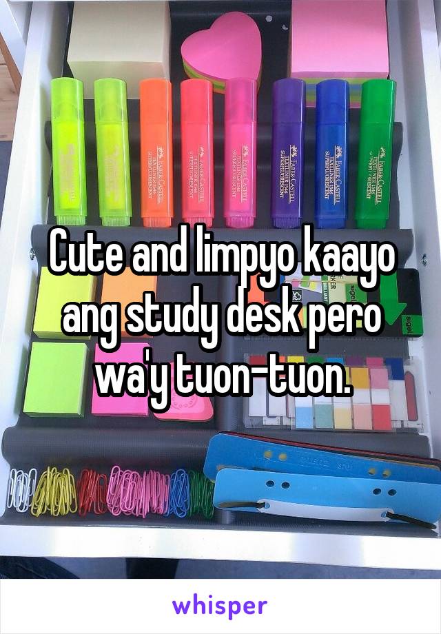 Cute and limpyo kaayo ang study desk pero wa'y tuon-tuon.