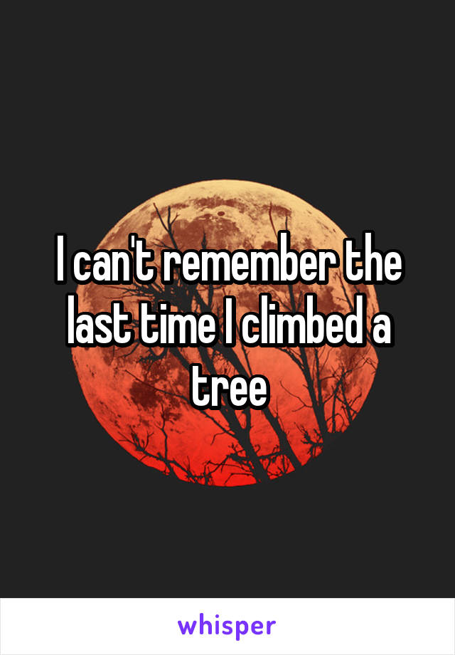 I can't remember the last time I climbed a tree