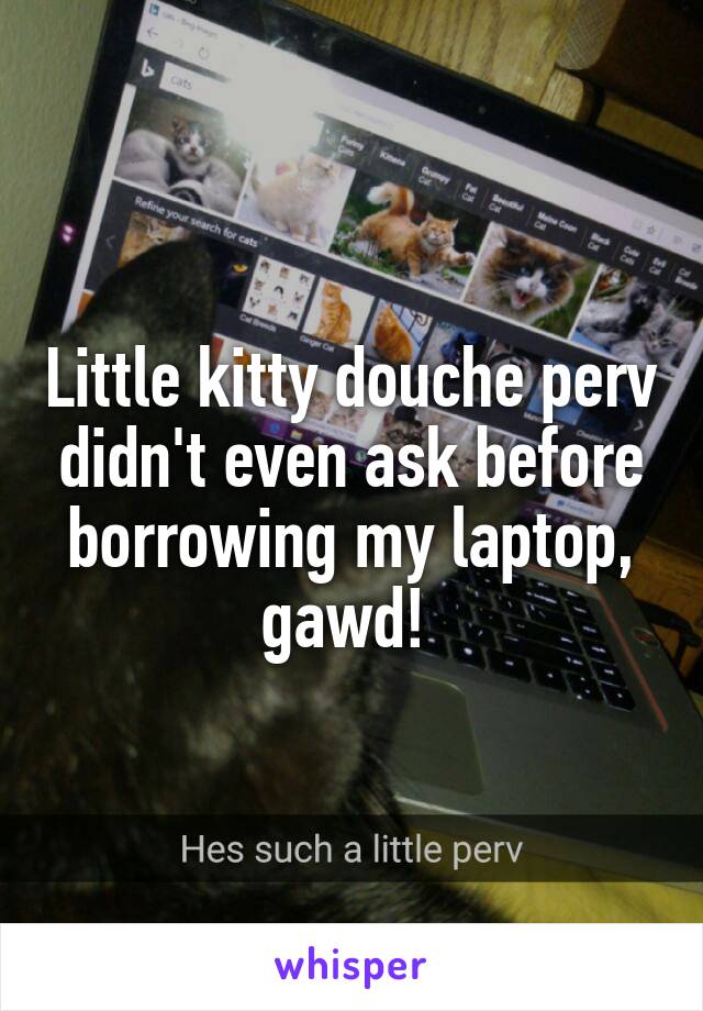 Little kitty douche perv didn't even ask before borrowing my laptop, gawd! 