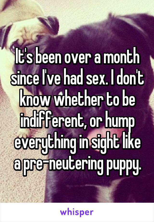 It's been over a month since I've had sex. I don't know whether to be indifferent, or hump everything in sight like a pre-neutering puppy.