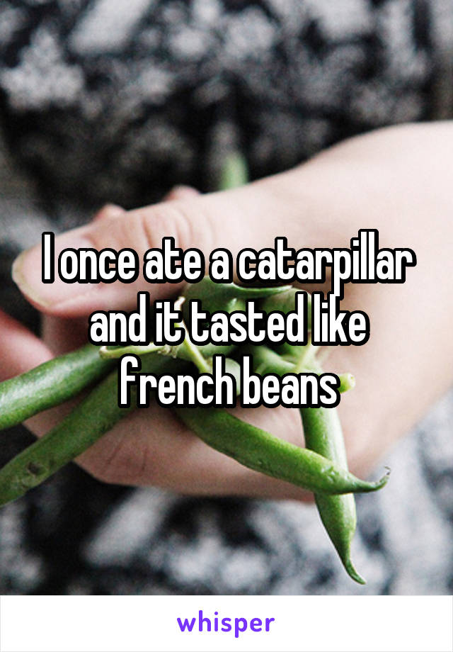 I once ate a catarpillar and it tasted like french beans