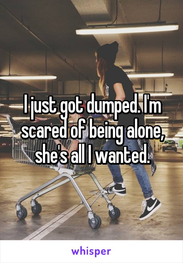 I just got dumped. I'm scared of being alone, she's all I wanted.