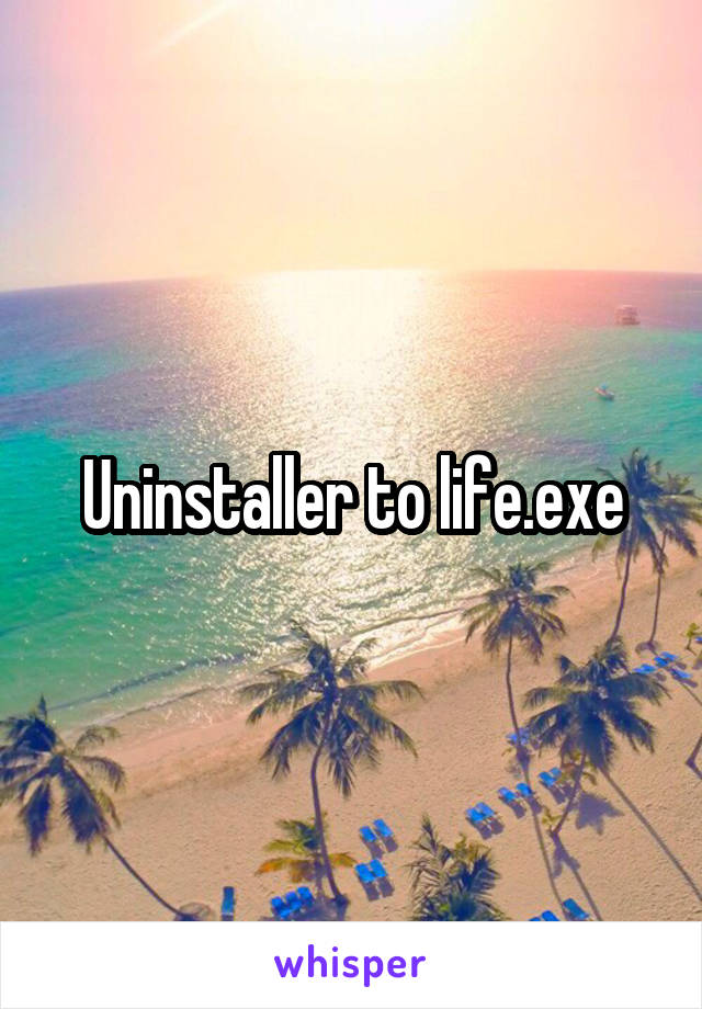 Uninstaller to life.exe