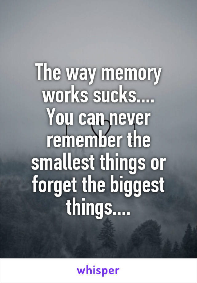 The way memory works sucks....
You can never remember the smallest things or forget the biggest things....