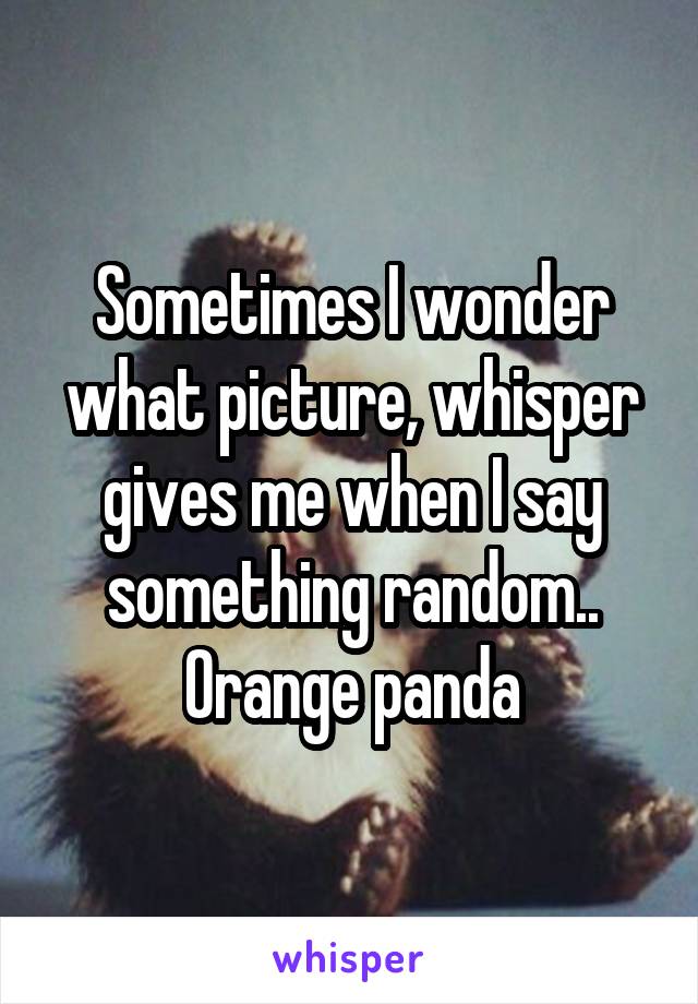 Sometimes I wonder what picture, whisper gives me when I say something random.. Orange panda