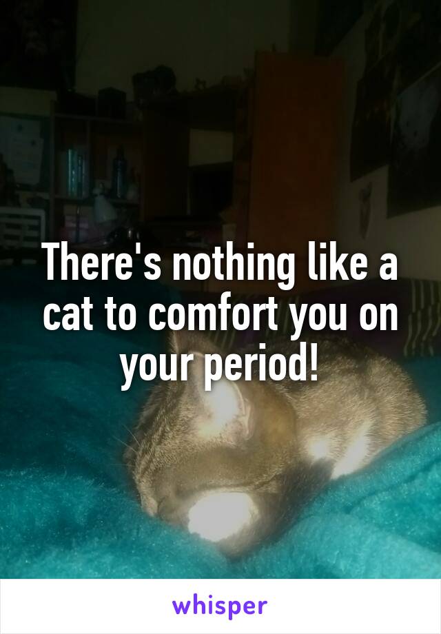 There's nothing like a cat to comfort you on your period!