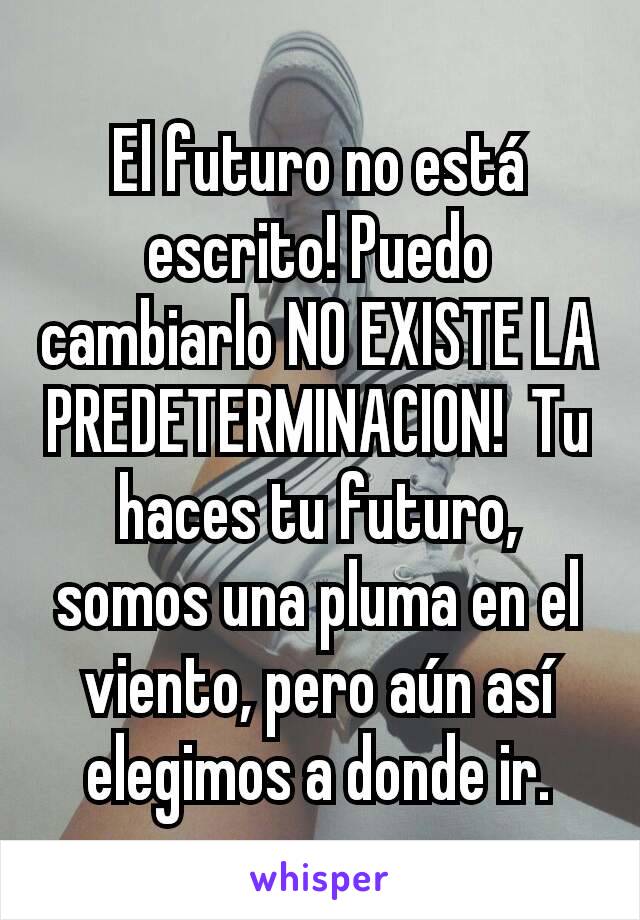 El futuro no está escrito! Puedo cambiarlo NO EXISTE LA PREDETERMINACION!  Tu haces tu futuro,  somos una pluma en el viento, pero aún así elegimos a donde ir.