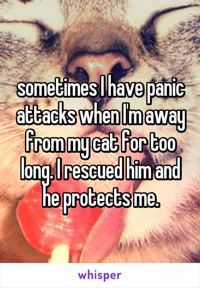 sometimes I have panic attacks when I'm away from my cat for too long. I rescued him and he protects me.