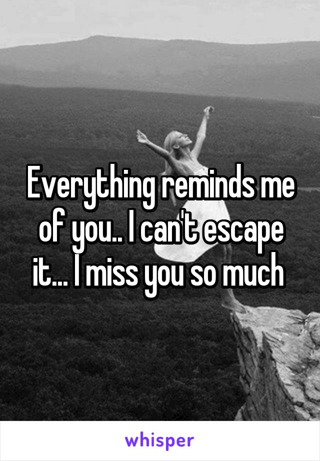 Everything reminds me of you.. I can't escape it... I miss you so much 