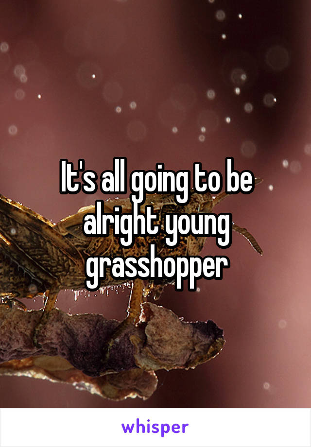 It's all going to be alright young grasshopper