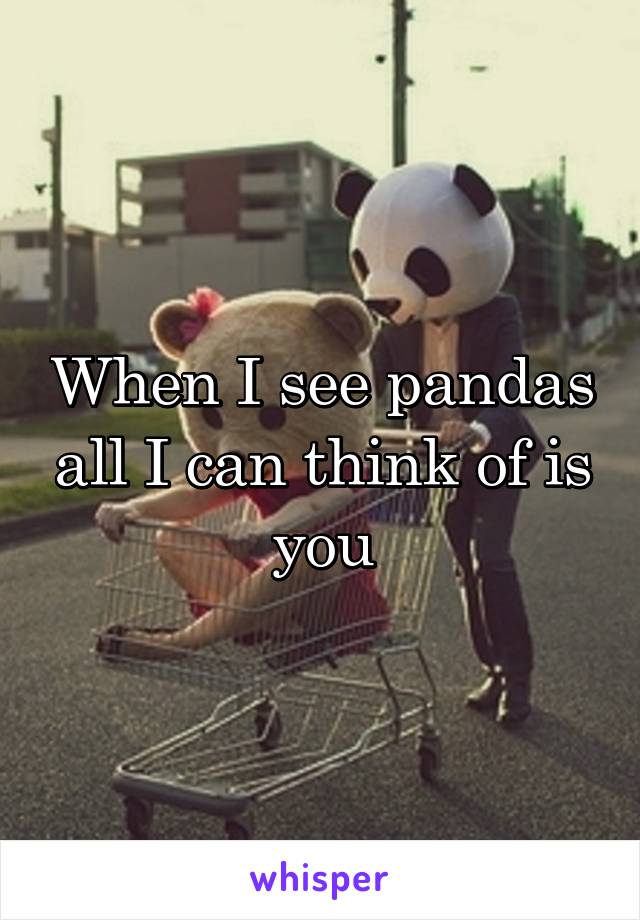 When I see pandas all I can think of is you