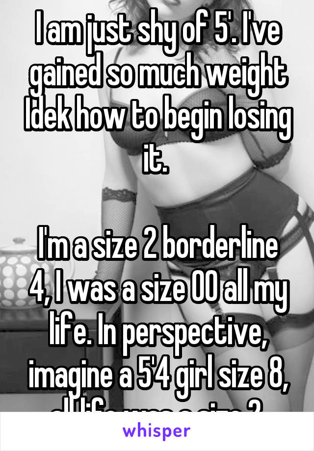 I am just shy of 5'. I've gained so much weight Idek how to begin losing it. 

I'm a size 2 borderline 4, I was a size 00 all my life. In perspective, imagine a 5'4 girl size 8, all life was a size 2.