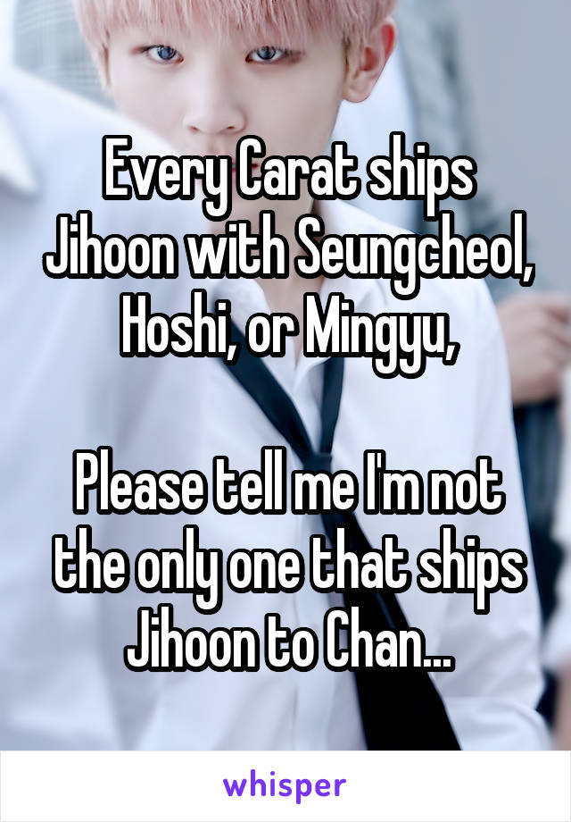 Every Carat ships Jihoon with Seungcheol, Hoshi, or Mingyu,

Please tell me I'm not the only one that ships Jihoon to Chan...