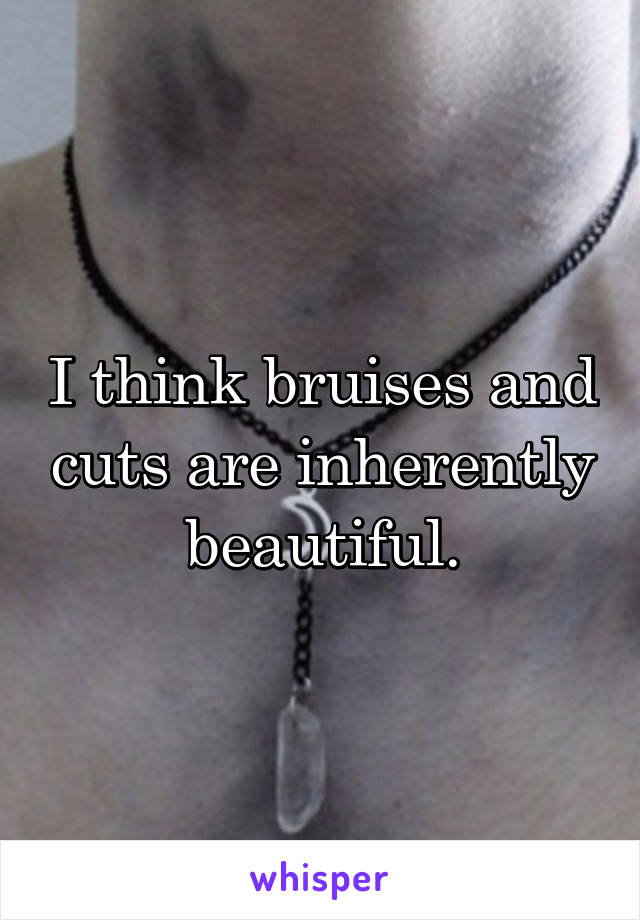 I think bruises and cuts are inherently beautiful.