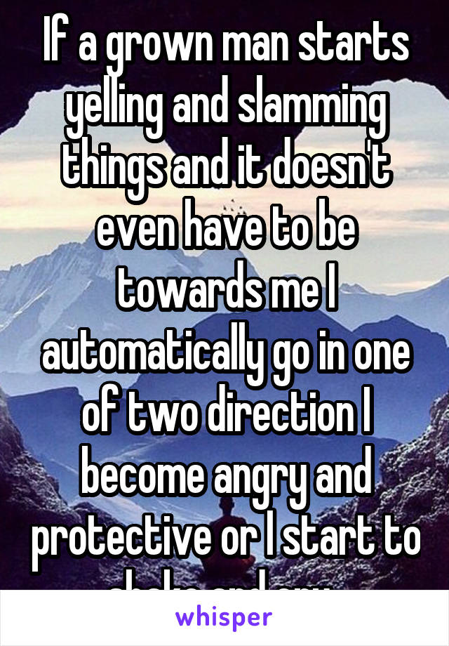 If a grown man starts yelling and slamming things and it doesn't even have to be towards me I automatically go in one of two direction I become angry and protective or I start to shake and cry. 