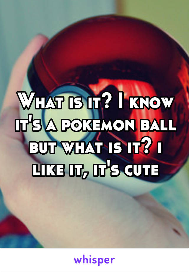What is it? I know it's a pokemon ball but what is it? i like it, it's cute