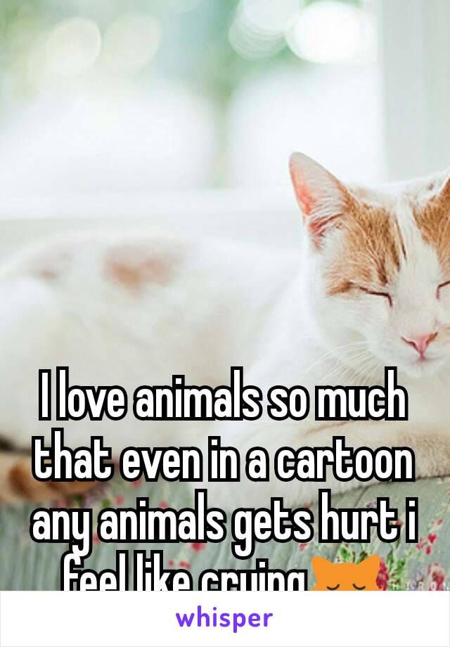 I love animals so much that even in a cartoon any animals gets hurt i feel like crying😿