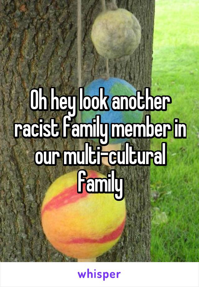 Oh hey look another racist family member in our multi-cultural family