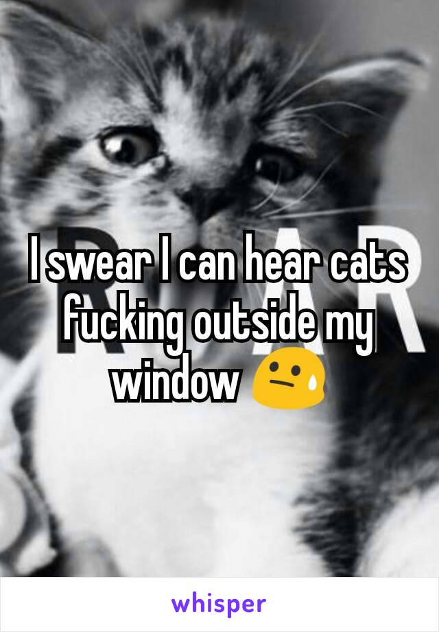 I swear I can hear cats fucking outside my window 😓