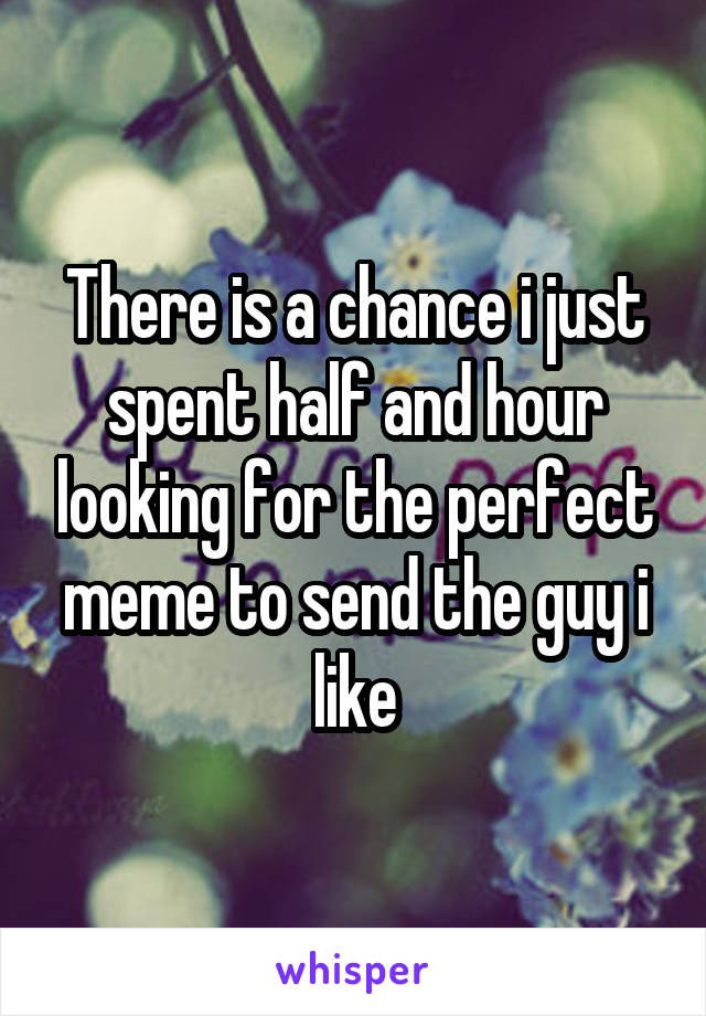 There is a chance i just spent half and hour looking for the perfect meme to send the guy i like