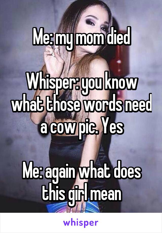 Me: my mom died

Whisper: you know what those words need a cow pic. Yes

Me: again what does this girl mean