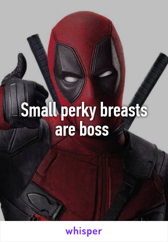 Small perky breasts are boss 