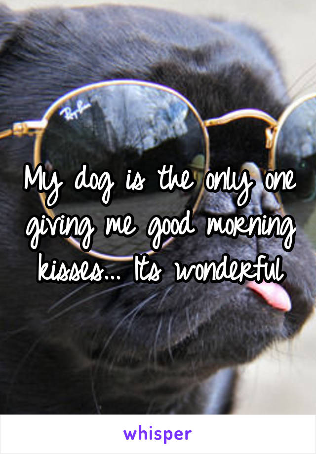 My dog is the only one giving me good morning kisses... Its wonderful