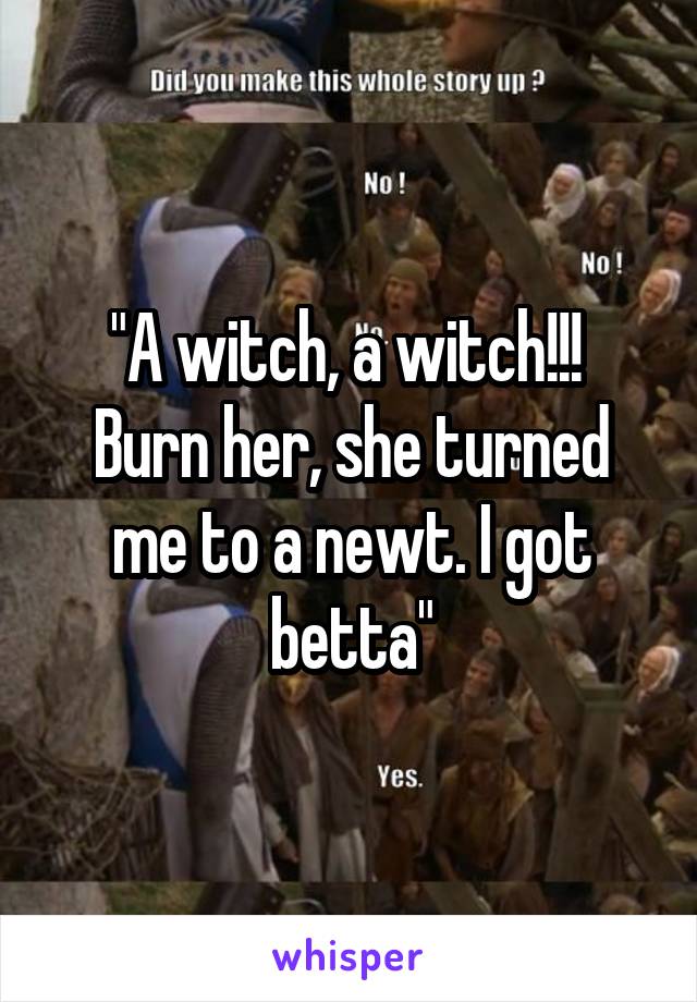 "A witch, a witch!!! 
Burn her, she turned me to a newt. I got betta"