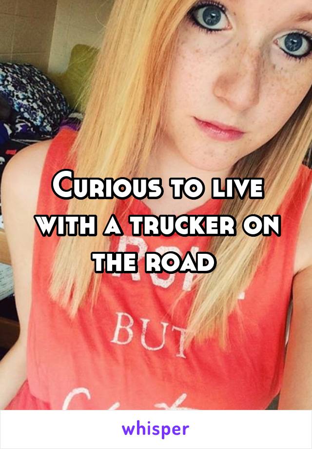 Curious to live with a trucker on the road 