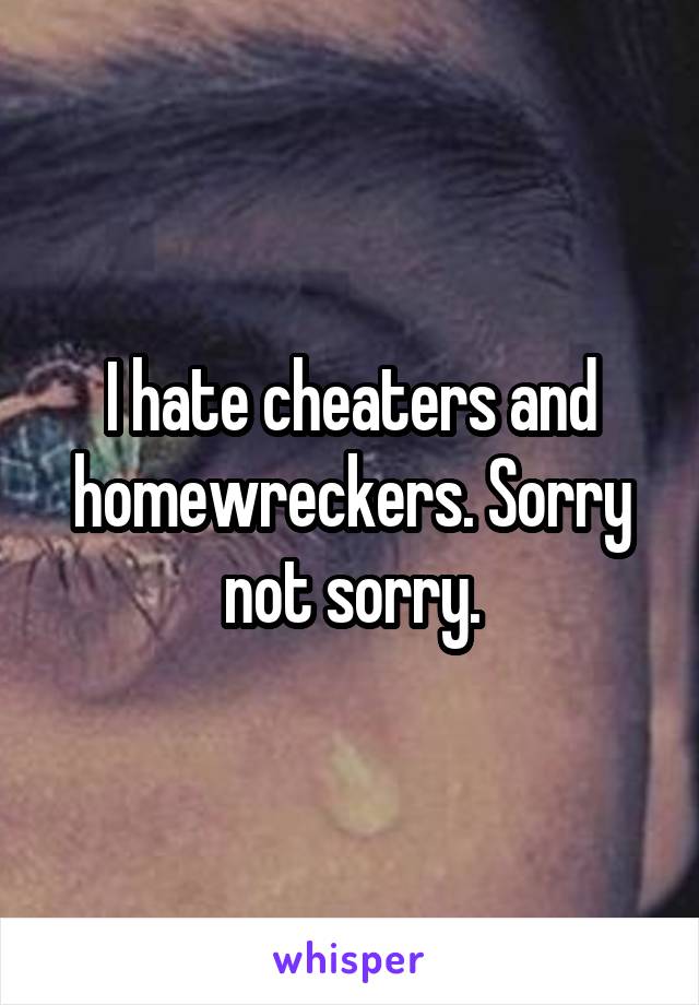 I hate cheaters and homewreckers. Sorry not sorry.